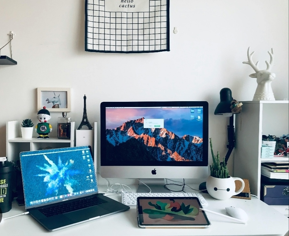 Best Monitors for Home Office