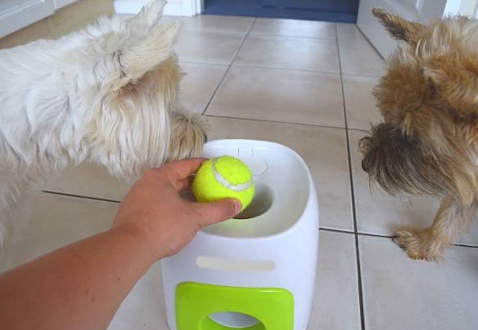 tech gadgets for pet owners