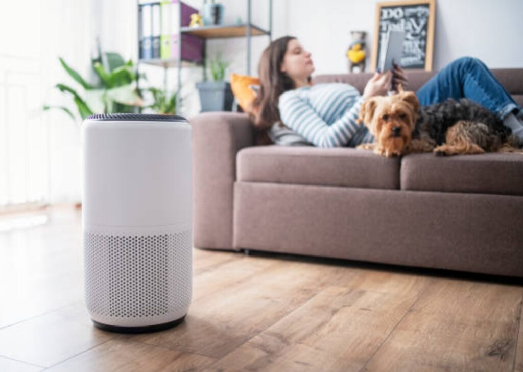 Best smart air purifiers 2025