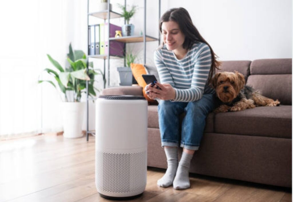 Best smart air purifiers 2025