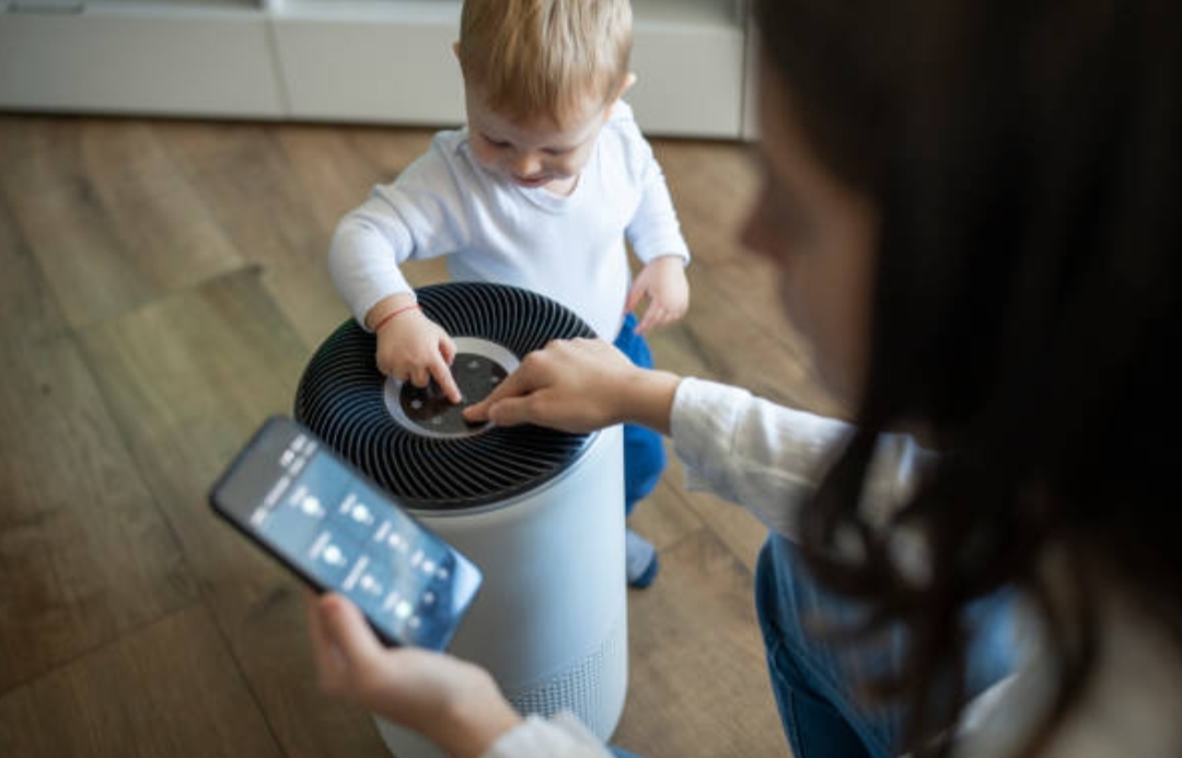 Best smart air purifiers 2025