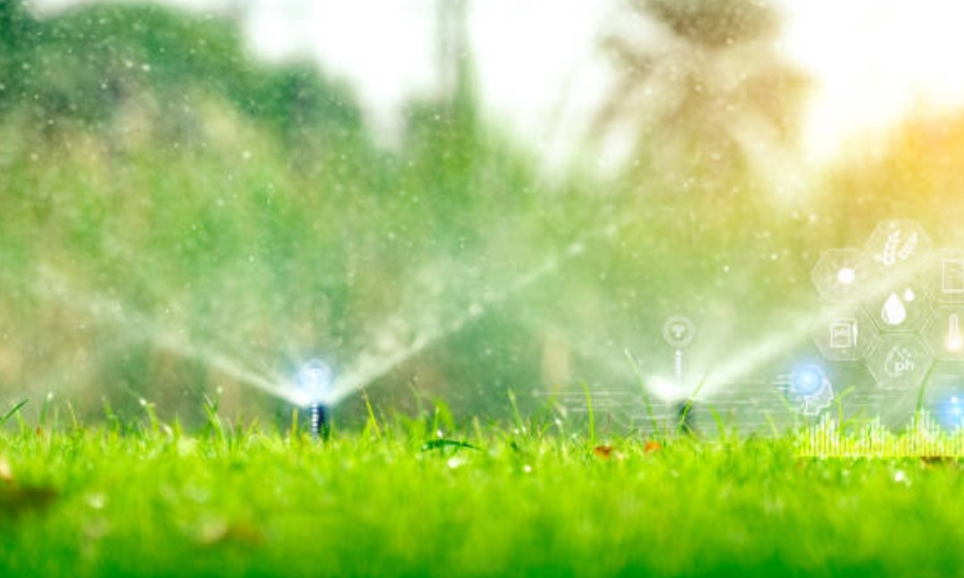 How to Create a Smart Garden