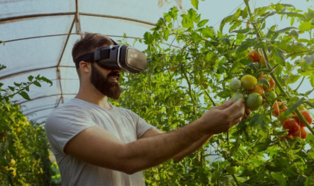 How to Create a Smart Garden