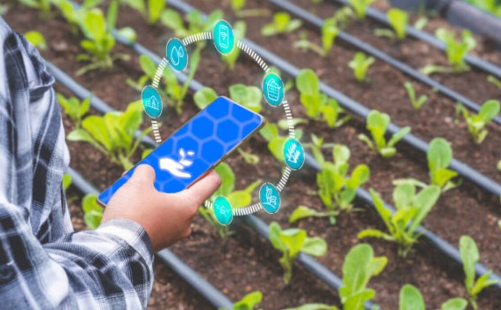 How to Create a Smart Garden