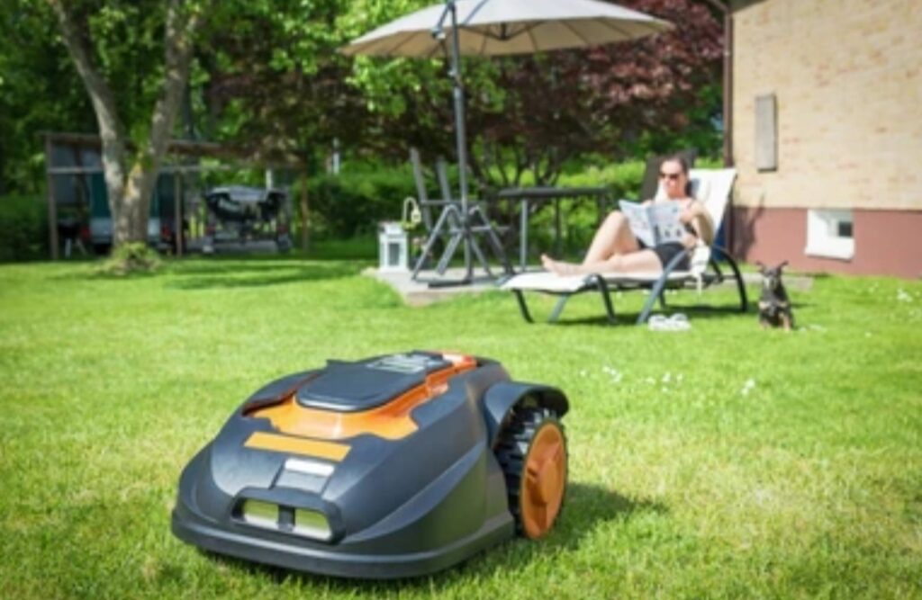 How to Create a Smart Garden