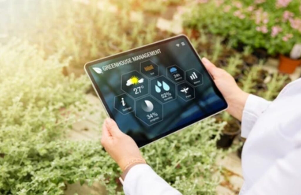 How to Create a Smart Garden