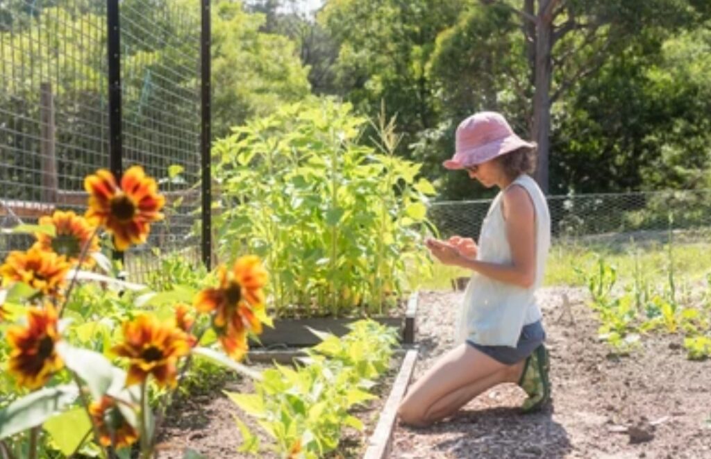 How to Create a Smart Garden