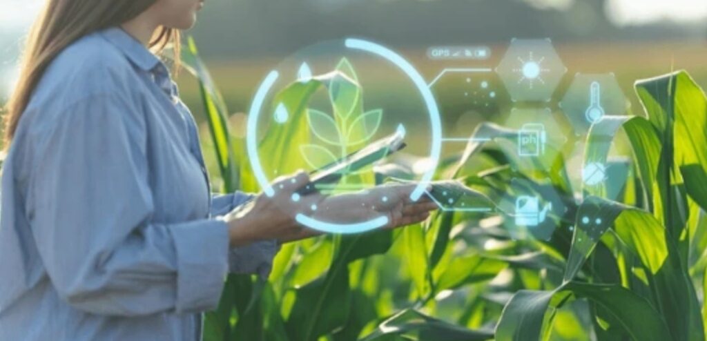 How to Create a Smart Garden