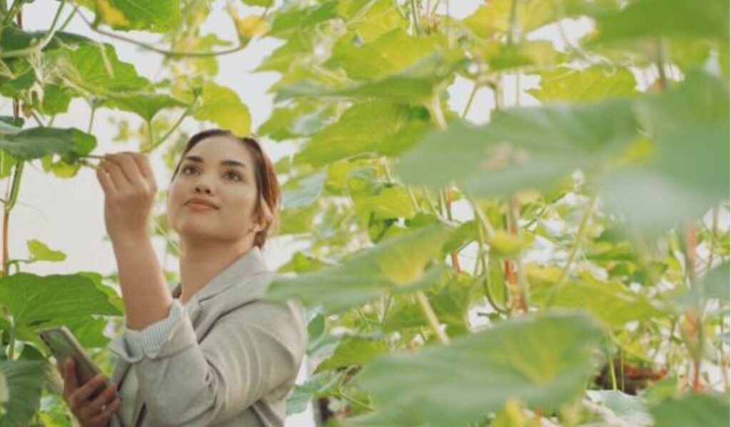 How to Create a Smart Garden