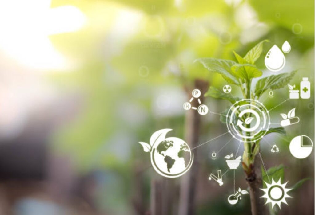 How to Create a Smart Garden