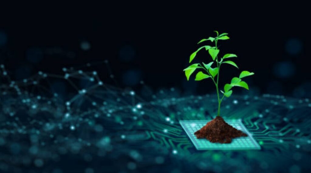 reduce tech carbon footprint, green IT tips, eco friendly computing (10)