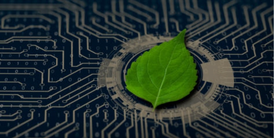 reduce tech carbon footprint, green IT tips, eco friendly computing (10)